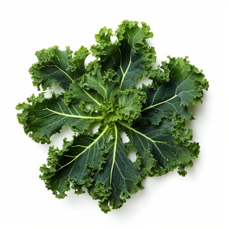 kale, a nutritious superfood, is showcased in this high-quality close-up image, featuring a vibrant green leafy texture, shot from a top view against a clean white background, perfect for healthy eating and wellness-themed designs, highlighting the vegetable's crunchy freshness and nutritional benefits. ai generatedの素材