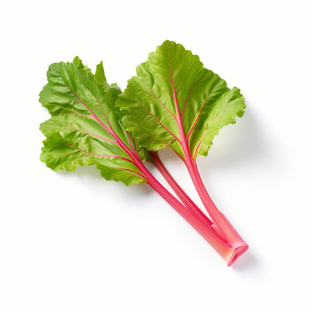 rhubarb, a vibrant and tart vegetable, sits isolated on a pristine white background, showcasing its bright red and green hues, perfect for adding a pop of color to salads, jams, and desserts, or used as a natural remedy for digestive issues. ai generatedの素材