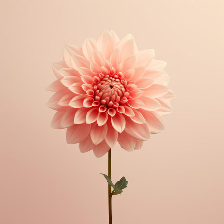 dahlias stand out against a soft, muted background in this vintage-inspired photograph, evoking a sense of simplicity and minimalism, perfect for adding a touch of elegance and sophistication to any room's decor, while also celebrating the beauty of nature's fleeting blooms. ai generatedの素材