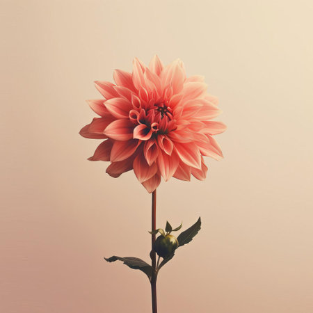 dahlias stand out against a soft, muted vintage background, evoking a sense of simplicity and minimalism, perfect for adding a touch of elegance to any design or decor, while the subtle, distressed texture adds a hint of nostalgia and charm. ai generatedの素材