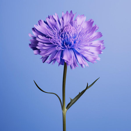 the delicate cornflower, with its vibrant blue petals and intricate yellow center, takes center stage in this stunning macro photograph, showcasing its intricate details and textures against a clean, solid background, highlighting the beauty of nature's smallest wonders. ai generatedの素材