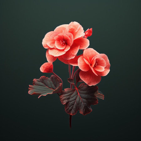 rex begonia, a stunning ornamental plant, is showcased in this high-quality photograph, featuring its intricate leaf patterns and vibrant colors against a solid background, captured in a frontal view with minimal retouching, evoking the style of a micro photograph, highlighting its natural beauty and botanical details. ai generatedの素材