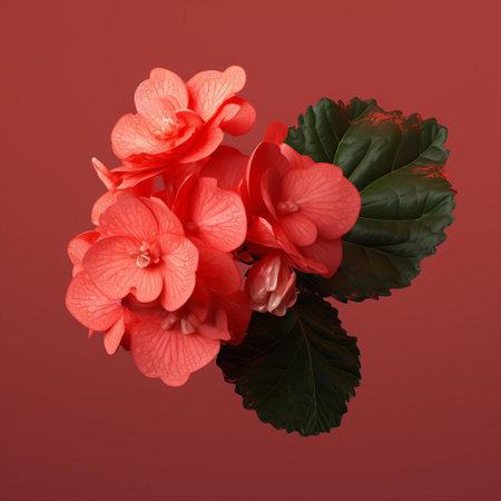 rex begonia, a stunning ornamental plant, is showcased in a lifelike representation on a solid background, highlighting its intricate leaf patterns and vibrant colors, captured in a frontal view with minimal retouching, evoking the style of a micro photograph, perfect for botanical enthusiasts and nature lovers. ai generatedの素材