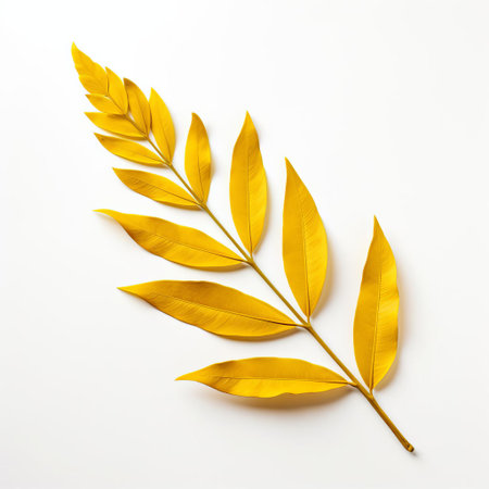 the goldenrod leaf, with its delicate yellow petals and serrated edges, lies flat on a pristine white background, showcasing its intricate details and vibrant color, perfect for botanical studies, nature photography, and floral arrangements, highlighting the beauty of wildflowers and autumn foliage. ai generatedの素材
