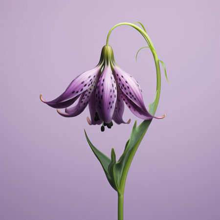 the fritillaria, a delicate and exotic flower, is showcased in stunning detail against a solid background, its intricate patterns and vibrant colors captured with minimal retouching in a frontal view, evoking the style of a micro photograph, highlighting its unique beauty and botanical features. ai generatedの素材