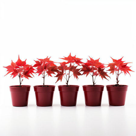 a row of vibrant red maple trees in pots stands out against a crisp white background, showcasing their stunning autumn foliage and delicate branches, perfect for adding a touch of seasonal charm to any indoor or outdoor space, ideal for fall decorations and nature-inspired decor. ai generatedの素材
