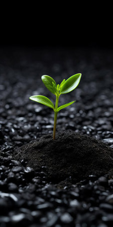 agricultural plants thrive on black shingle, showcased in a stunning tabletop photography setup, emphasizing visually tactile surfaces and sustainable design principles, captured with a voigtlander bessa r2m camera, featuring a predominantly dark gray and black color palette with a soft focus effect. ai generatedの素材