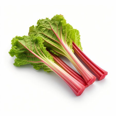 rhubarb stalks, fresh and vibrant, stand out against a pristine white background, showcasing their signature tart flavor and crunchy texture, perfect for adding a burst of flavor to sweet and savory recipes, from pies to salads and jams. ai generatedの素材
