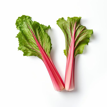 rhubarb stalks, with their vibrant green leaves and crimson-hued stems, sit elegantly on a pristine white background, showcasing their unique beauty and versatility in sweet and savory recipes, from pies and tarts to soups and salads, highlighting their nutritional value and culinary appeal. ai generatedの素材