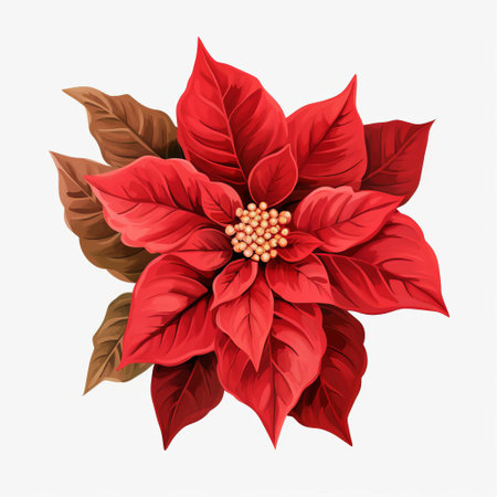 the poinsettia, a vibrant symbol of the holiday season, shines brightly against a crisp white background in this stunning clipart image, featuring its signature star-shaped petals and rich green leaves, perfect for festive designs, christmas cards, and winter decorations. ai generatedの素材