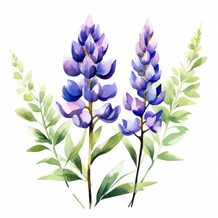 the lupine, a delicate and vibrant flower, is beautifully illustrated in this stunning watercolor vector clipart, showcasing its intricate details and soft petals in a single, elegant design, perfect for adding a touch of whimsy and charm to any project or design. ai generatedの素材