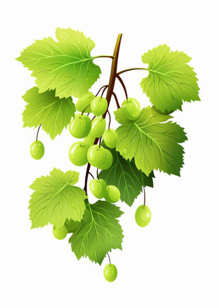 the linden icon, set against a crisp white background, showcases the majestic tree's intricate details in a stunning vector design, perfect for nature-inspired graphics, logos, and illustrations, evoking feelings of serenity and tranquility in digital art and design projects. ai generatedの素材