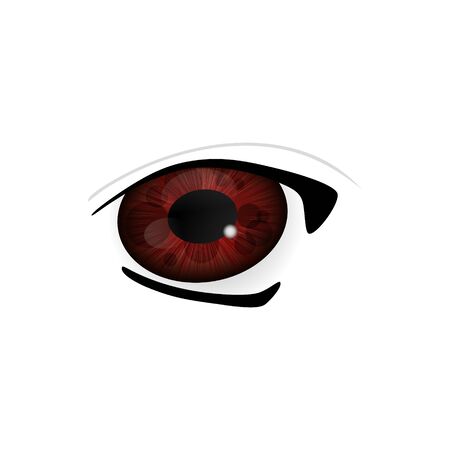 Eye. Human eyes closeup. Beautiful big eyes. Illustrationの写真素材