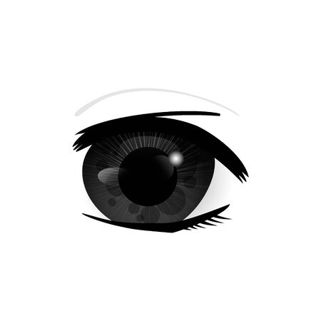 Eye. Human eyes closeup. Beautiful big eyes. Illustrationの写真素材