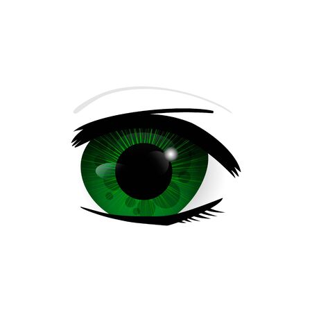 Eye. Human eyes closeup. Beautiful big eyes. Illustrationの写真素材