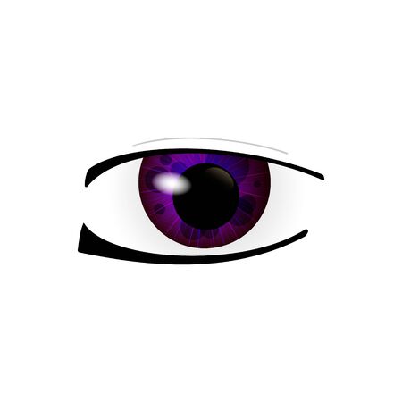 Eye. Human eyes closeup. Beautiful big eyes. Illustrationの写真素材