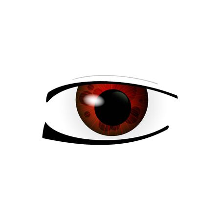 Eye. Human eyes closeup. Beautiful big eyes. Illustrationの写真素材