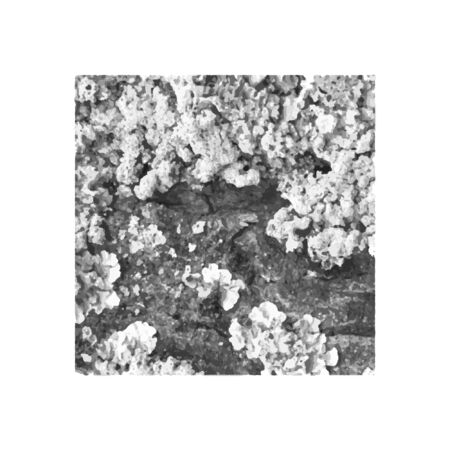 Set texture cracks. Grunge texture of cracks for design and execution. Illustrationの写真素材