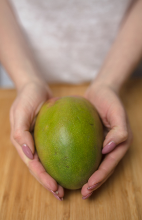 Closeup of woman's hands holding ripe mango at tableの写真素材
