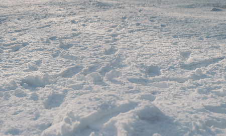 Powdered Snow With Footprintsの写真素材
