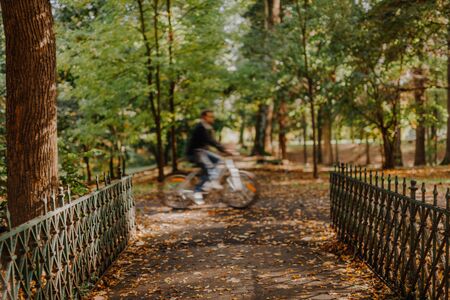 Walk Patch in city park, sunny autumn dayの写真素材