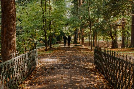 Walk Patch in city park, sunny autumn dayの写真素材