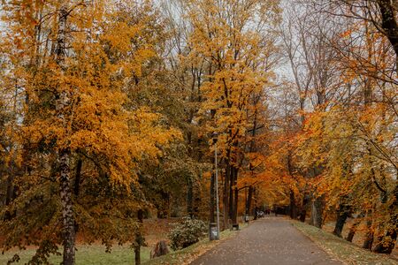 Walk Patch in city park, Autumn sunsetの写真素材