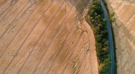 Aerial View of wheat field destroyed by wild boars