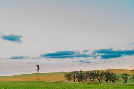 Harvesting - Beautiful Agriculture Landscape, Various Agricultural Fields