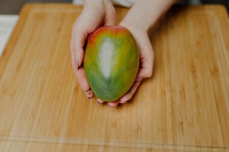 Close up of Woman Holding Mango Fruit in Handsの写真素材