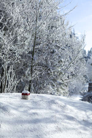 border post covered with snowの写真素材