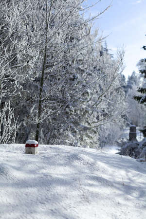 border post covered with snowの写真素材