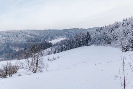 view of the forest and mountains covered with snow in winterの写真素材