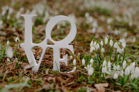 love letters inscription on groundの写真素材