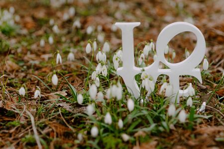 love letters inscription on groundの写真素材