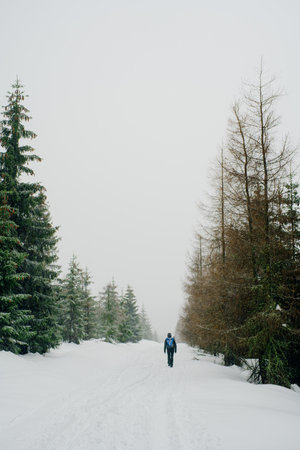 Hiker Walking in Mountains in Winter