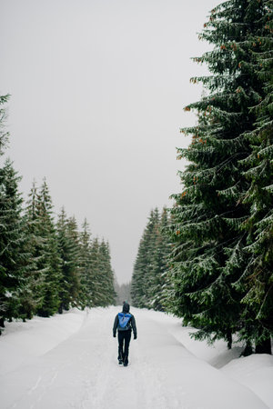 Hiker Walking in Mountains in Winterの写真素材
