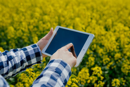 Female farmer using tabletの写真素材