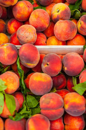 fresh ripe peaches in a boxの写真素材