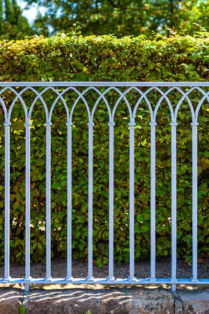Metal Fence Against Green Hedgeの写真素材