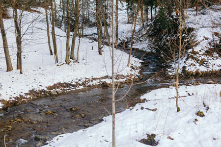 Mountain stream against forest in winterの写真素材