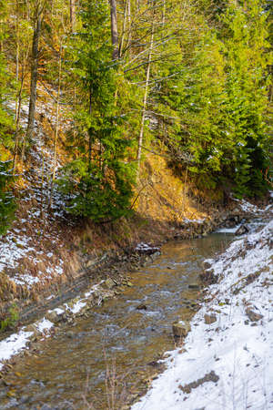 Mountain stream against forest in winterの写真素材