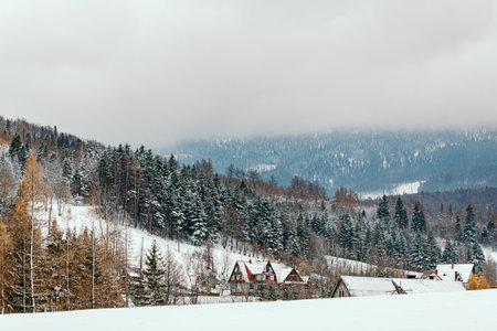winter landscape of mountains and forests on cloudy dayの写真素材
