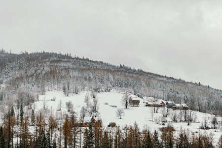 winter landscape of mountains and forests on cloudy dayの写真素材