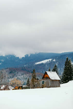 winter landscape of mountains and forests on cloudy dayの写真素材