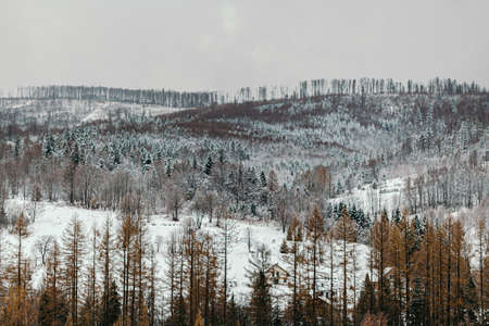 winter landscape of mountains and forests on cloudy dayの写真素材