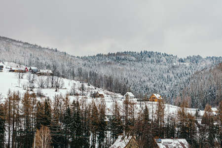 winter landscape of mountains and forests on cloudy dayの写真素材