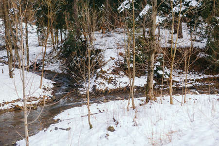 Mountain stream against forest in winterの写真素材