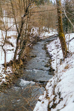 Mountain stream against forest in winterの写真素材