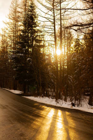 Wet Asphalt Roadway at Sunsetの写真素材